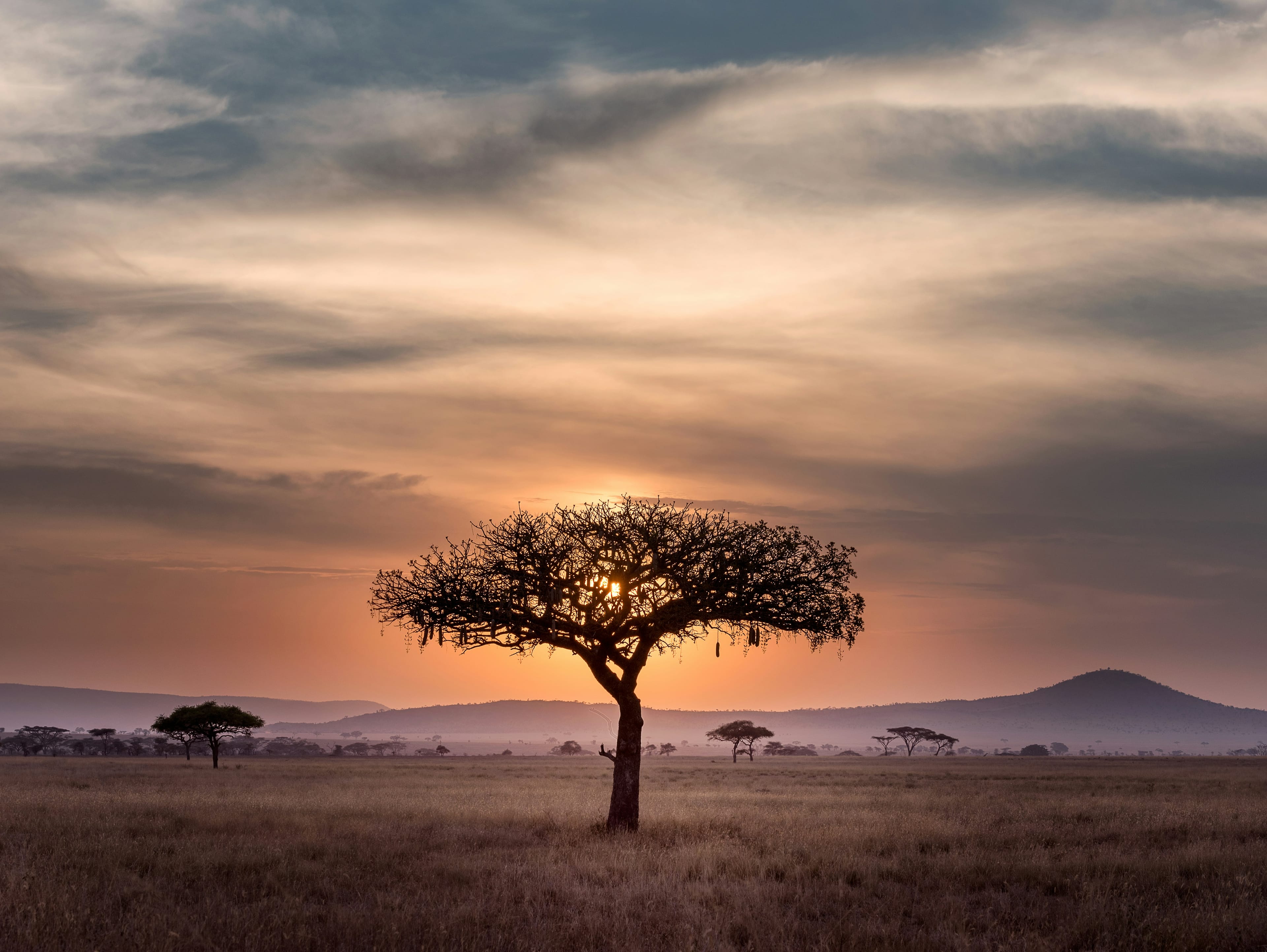 Web Exclusive: Tanzania All Inclusive